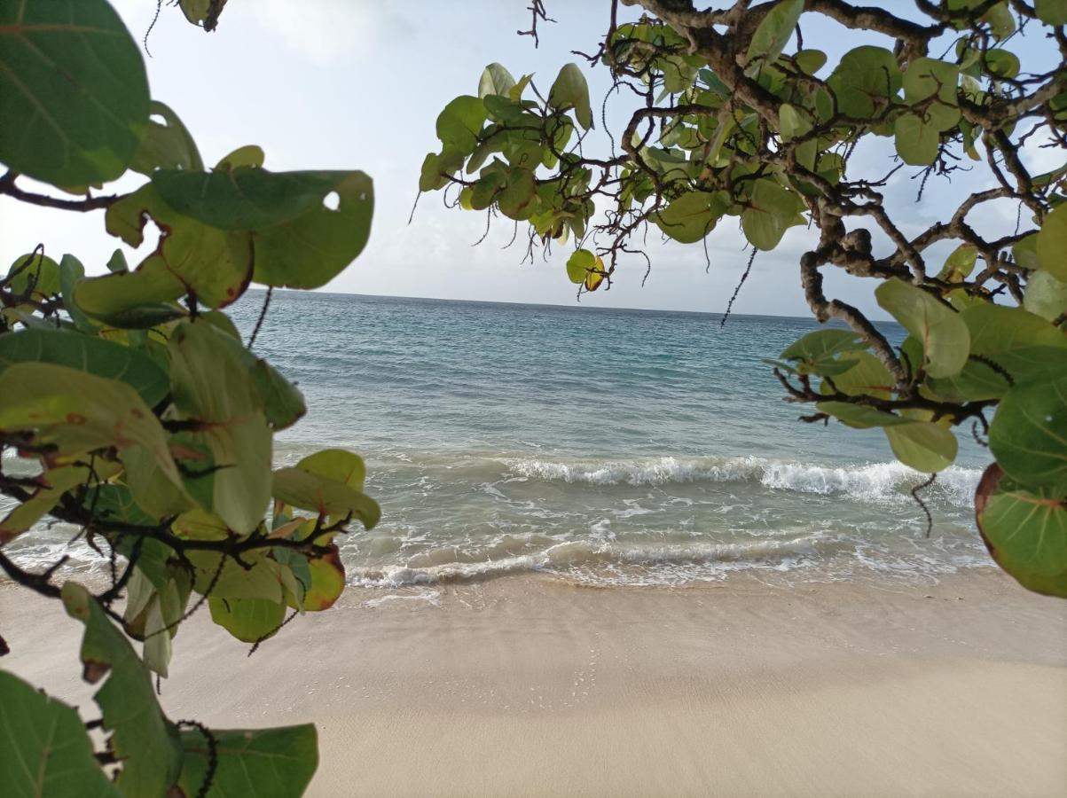 Kaz'Detente, Marie Galante, Plage Kawann Grand-Bourg  Exterior photo